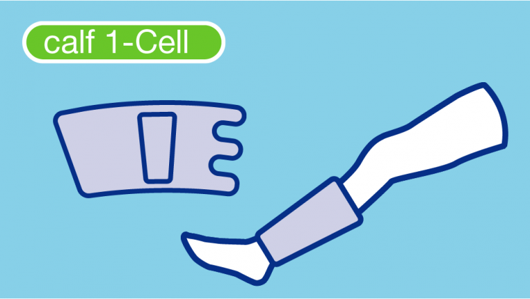 CC Calf 1-cell